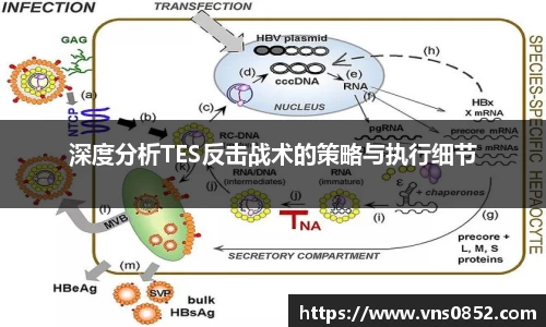 深度分析TES反击战术的策略与执行细节